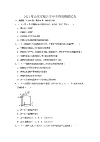 2021年山东省临沂市中考物理模拟试卷