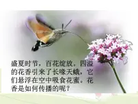 初中物理第1节 分子热运动课堂教学ppt课件