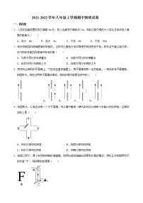 江苏省泰兴市2021-2022学年八年级上学期期中物理试卷（word版 含答案）