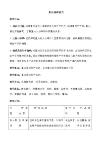 初中第四节 来自地球的力教学设计