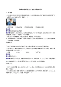 2021年湖南省株洲市中考物理试卷(含答案)