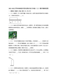 河南省许昌市禹州市2021-2022学年八年级上学期期中物理试卷(word版含答案)