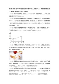 河南省洛阳市洛宁县2021-2022学年八年级上学期期中物理试卷（word版 含答案）