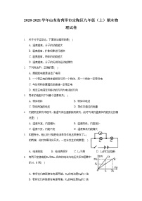 2020-2021学年山东省菏泽市定陶区九年级（上）期末物理试卷