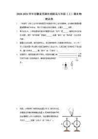 2020-2021学年安徽省芜湖市南陵县九年级（上）期末物理试卷