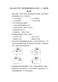 2020-2021学年广东省河源市紫金县九年级（上）期末物理试卷