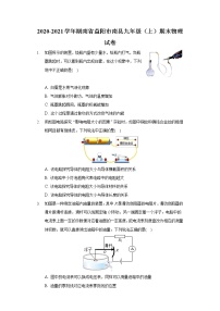 2020-2021学年湖南省益阳市南县九年级（上）期末物理试卷