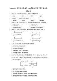 2020-2021学年山东省菏泽市成武县九年级（上）期末物理试卷