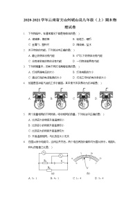 2020-2021学年云南省文山州砚山县九年级（上）期末物理试卷