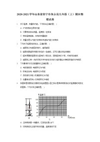 2020-2021学年山东省济宁市鱼台县九年级（上）期末物理试卷