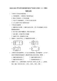 2020-2021学年河北省秦皇岛市卢龙县九年级（上）期末物理试卷