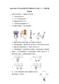 2020-2021学年山东省枣庄市滕州市九年级（上）期末物理试卷