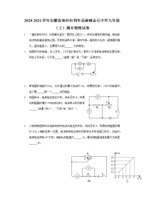 2020-2021学年安徽省亳州市利辛县阚疃金石中学九年级（上）期末物理试卷