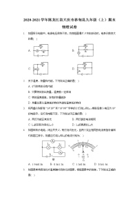 2020-2021学年黑龙江省大庆市林甸县九年级（上）期末物理试卷