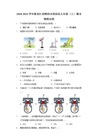 2020-2021学年黑龙江省鹤岗市绥滨县九年级（上）期末物理试卷