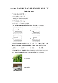 2020-2021学年黑龙江省齐齐哈尔市昂昂溪区八年级(上)期末物理试卷