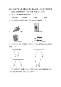 山东省烟台市龙口市2021-2022学年九年级上学期期中物理试卷（word版 含答案）