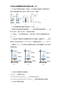 2021-2022学年人教版物理九年级上学期期末实验专题复习题（五）（word版 含答案）