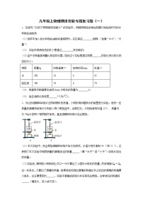 2021-2022学年人教版物理九年级上学期期末实验专题复习题（一）（word版 含答案）