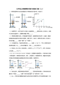 2021-2022学年人教版物理九年级上学期期末实验专题复习题（三）（word版 含答案）