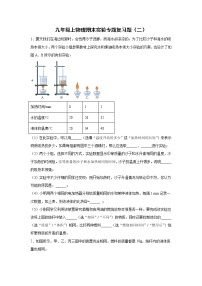 2021-2022学年人教版物理九年级上学期期末实验专题复习题（二）（word版 含答案）