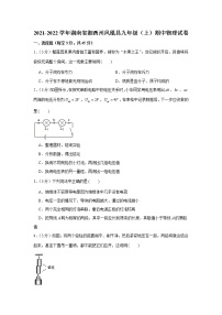 湖南省湘西州凤凰县2021-2022学年九年级上学期期中物理试卷（word版 含答案）