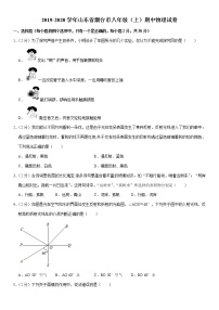 2019-2020学年山东省烟台市八年级（上）期中物理试卷（Word解析版）