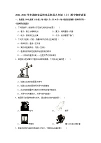 2021-2022学年湖南省岳阳市岳阳县九年级（上）期中物理试卷（word版无答案）