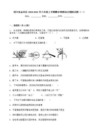 宁夏银川市金凤区2020-2021学年八年级上学期期末综合模拟物理试题（一）（word版 含答案）