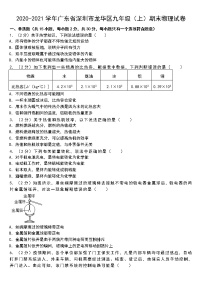 2020-2021学年广东省深圳市龙华区九年级（上）期末物理试卷