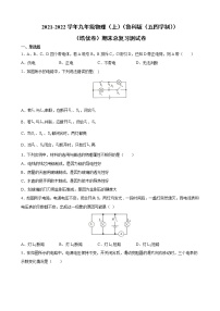 2021-2022学年鲁科版五四制物理九年级上学期期末复习培优试卷（word版 含答案）