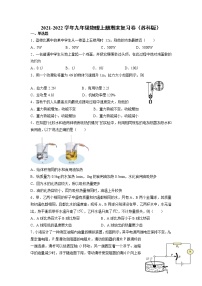 2021-2022学年苏科版物理九年级上学期期末复习试卷（word版 含答案）