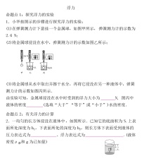 2022年人教版物理中考专题训练   浮力