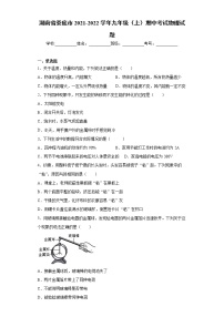 湖南省娄底市2021-2022学年九年级（上）期中考试物理试题（word版 含答案）