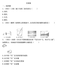 2022年沪粤版物理中考考点过关  光现象练习题