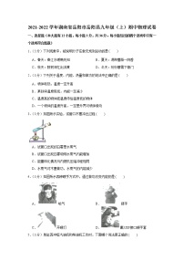 湖南省岳阳市岳阳县2021-2022学年九年级（上）期中物理试卷（Word版含答案）