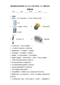 湖北省武汉市洪山区2021-2022学年九年级（上）期中考试物理试题（word版 含答案）