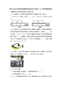 河南省洛阳市洛龙区2021-2022学年八年级上学期期中考试物理试题（Word版含解析）