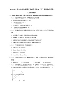 山东省淄博市张店区2021-2022学年八年级上学期期中考试物理试题（Word版含解析）