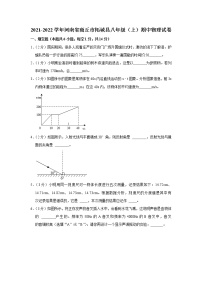 河南省商丘市柘城县2021-2022学年八年级上学期期中考试物理试题（Word版含解析）