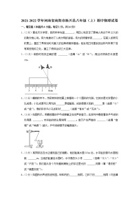 河南省南阳市淅川县2021-2022学年八年级上学期期中物理试题（Word版含解析）