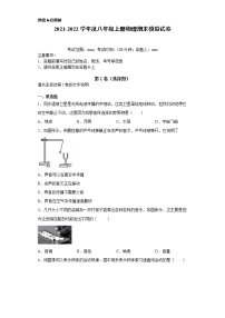 2021-2022学年度八年级上册物理期末模拟试卷