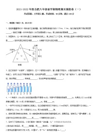 2021-2022年度安徽省合肥市八年级秋学期物理期末模拟卷（一）