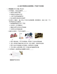 2022届中考物理知识点梳理精炼:声音的产生和传播练习题