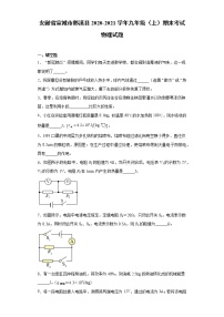 2020-2021学年安徽省宣城市郎溪县九年级上学期期末考试物理试题（含答案与解析）