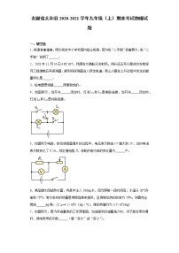 2020-2021学年安徽省太和县九年级上学期期末考试物理试题（含答案与解析）