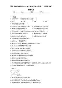 2020-2021学年河北省唐山市滦州市九年级上学期 期末考试物理试题（含答案与解析）