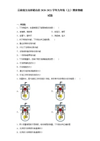 2020-2021学年云南省文山州砚山县九年级上学期期末物理试题（含答案与解析）