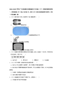 2018-2019学年广东省惠州市惠城区八年级（下）期末物理试卷含参考答案