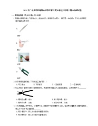 2021年广东龙华区深圳市龙华区第三实验学校九年级上期中物理试卷